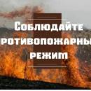 Правила поведения в пожароопасный период Правила поведения в пожароопасный период